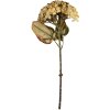 Clayre & Eef Branche décorative avec fleurs Beige-Vert 15x15x47 cm
