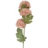 Clayre & Eef Branche décorative avec fleurs 10x8x64 cm Rose