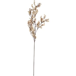 Fleur Artificielle Clayre & Eef 10x8x104 cm Blanc et Marron