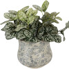Pot de fleur Clayre & Eef 6CE2240M Ø 18x15 cm Vert Gris
