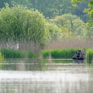 Buteo Photo Gear Floating Hide Grebe II – Tente de camouflage flottante pour la photographie animalière