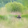 Buteo Photo Gear Floating Hide Grebe II – Tente de camouflage flottante pour la photographie animalière