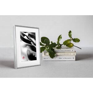 FramesFactory Cadre Photo Aluminium 21x29,7 cm Argent