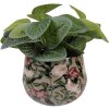 Clayre & Eef 66395 Pot à Fleurs Gris & Rose 13x10 cm