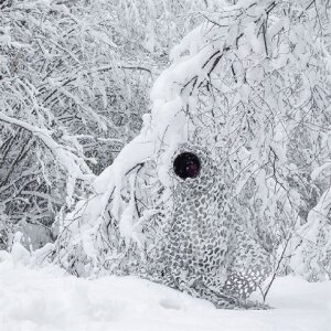 Buteo Photo Gear Filet Camouflage 3D Feuilles Neige 1,5x3 m