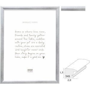 Cadre Photo Deknudt S54SD3 Argent Bois 6 Formats