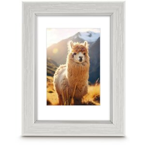Cadre photo Hama Kunststoffrahmen Lima blanc 20 x 30 cm...