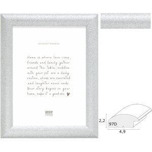 Cadre photo Deknudt S97DD7 – argent, dimensions...