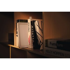 Falcon Eyes 290881 : Instrument de mesure LED IP65