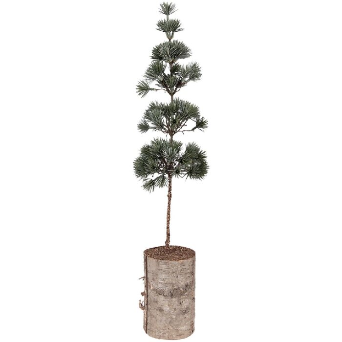 Clayre & Eef 50841 Décoration arbre 14x14x60 cm vert-brun résistante aux intempéries