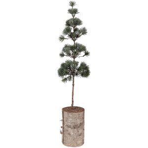 Clayre & Eef 50841 Décoration arbre 14x14x60...