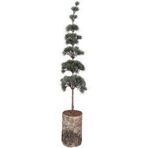 Clayre & Eef 50842 Décoration arbre 15x12x80...