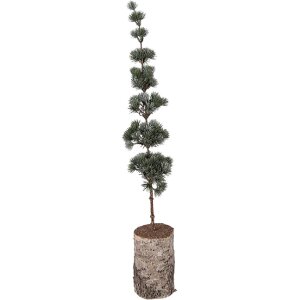 Clayre & Eef 50842 Décoration arbre 15x12x80...