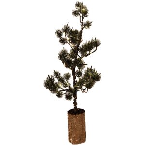 Clayre & Eef 50843 Décoration arbre LED 20x17x60 cm vert marron avec piles AAA