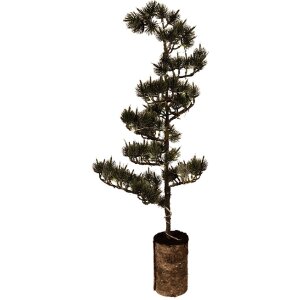 Clayre & Eef 50844 Décoration arbre LED vert et brun 75x28x20 cm