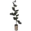 Arbre de décoration LED 30x35x100 cm avec éclairage blanc chaud – Clayre & Eef 50845