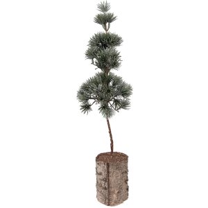 Clayre & Eef 66433 Décoration arbre 14x14x45...