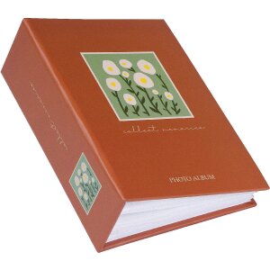 Album photo Goldbuch Aura Minimax pour 100 photos 10x15 cm