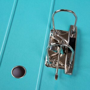 Classeur Velvet Bloom Goldbuch – Élégance dorée & mécanique à levier