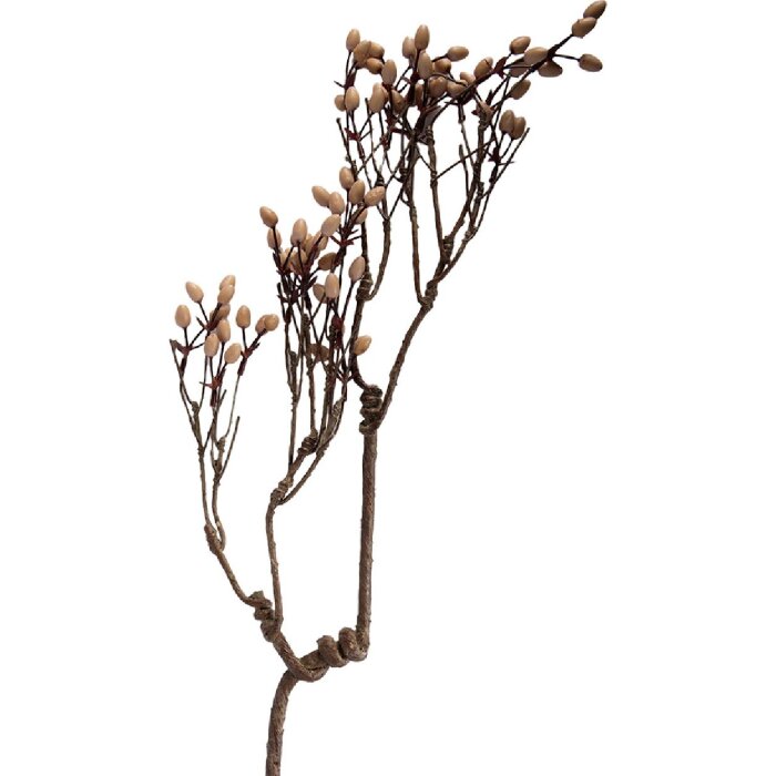 Décoration Branche Clayre & Eef 30x4x85 cm Brun Naturel