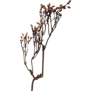 Décoration Branche Clayre & Eef 30x4x85 cm...