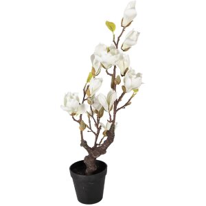 Arbre de magnolia Clayre & Eef 16x14x60 cm blanc-marron