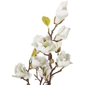 Arbre de magnolia Clayre & Eef 16x14x60 cm blanc-marron