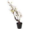 Arbre de magnolia Clayre & Eef 16x14x60 cm blanc-marron