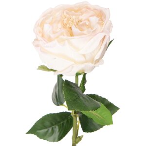 Fleur Artificielle Rose Clayre & Eef 9x9x43 cm