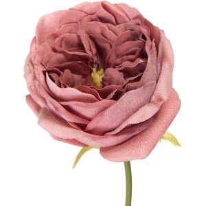 Fleur artificielle rose Clayre & Eef 9x9x35 cm