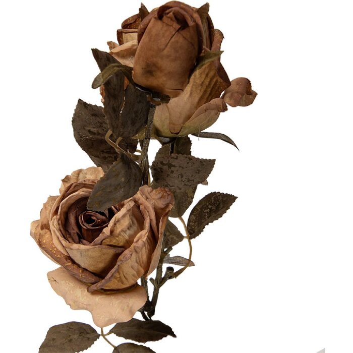 Décoration Murale Branche Fleurs Beige Vert 12x12x70 cm