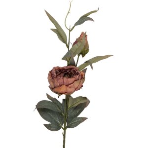 Décoration florale réaliste Clayre & Eef 14x14x83 cm rose-vert