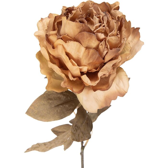 Fleur artificielle pivoine Clayre & Eef 14x14x70 cm beige-vert