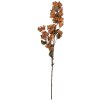 Clayre & Eef – Décoration Murale Branche Fleurs Marron Vert 10x15x101 cm