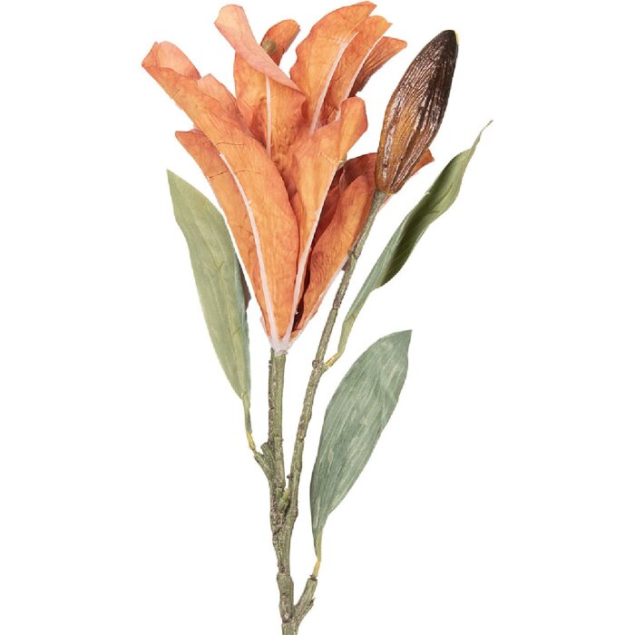 Décoration Branche Fleurs Orange Vert 12x16x88 cm Clayre & Eef