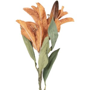 Décoration murale branche fleurie marron vert 12x16x88 cm