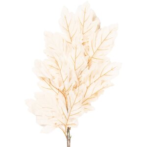 Décoration Branche Clayre & Eef Beige-Vert 15x22x104 cm