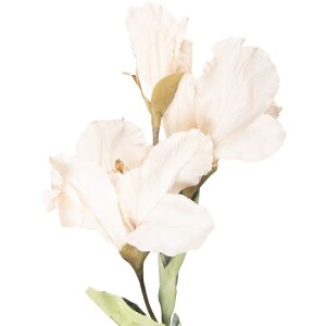 Clayre & Eef 5PL0256BE Dekoration Zweig mit Blumen Beige Grün 10x18x85 cm