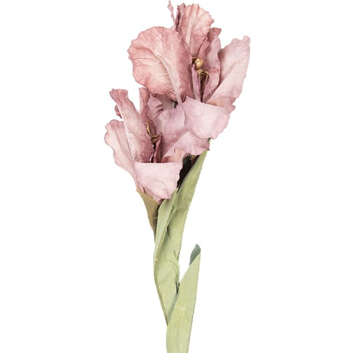 Décoration murale florale Clayre & Eef 5PL0256P rose-vert