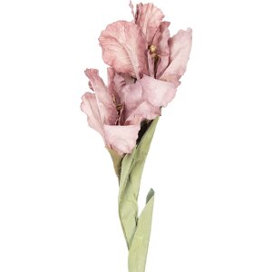 Décoration murale florale Clayre & Eef 5PL0256P rose-vert