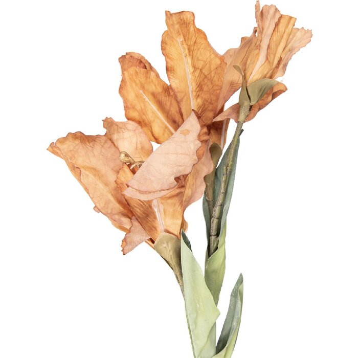 Décoration Branche Fleurs Naturelles 10x18x85 cm Clayre & Eef