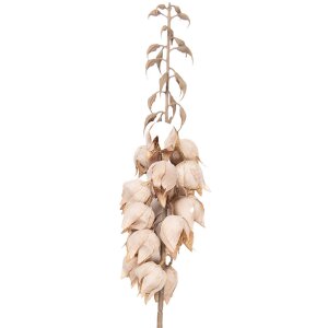 Décoration murale en plastique « Branche avec Fleurs » beige-brun 12x12x100 cm