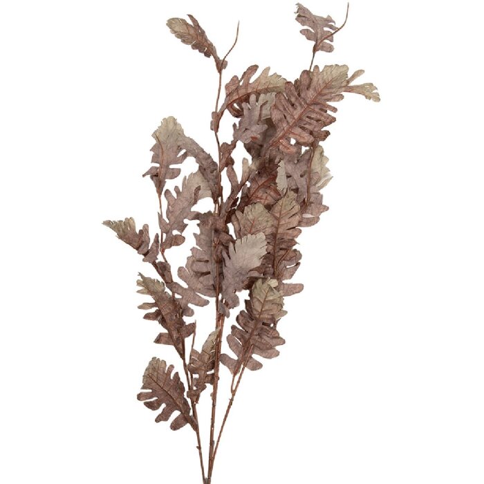 Décoration Branche Beige-Braun 10x15x108 cm – Clayre & Eef