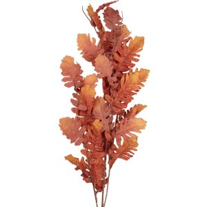 Décoration murale en forme de branche Clayre & Eef 10x15x108 cm