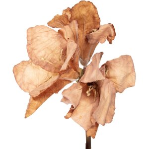 Fleur artificielle Clayre & Eef 5PL0264BE marron 16x16x65 cm