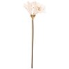 Fleur Artificielle Clayre & Eef Beige-Brun 16x16x65 cm