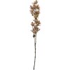 Branche de fleurs Clayre & Eef beige-vert 10x10x95 cm