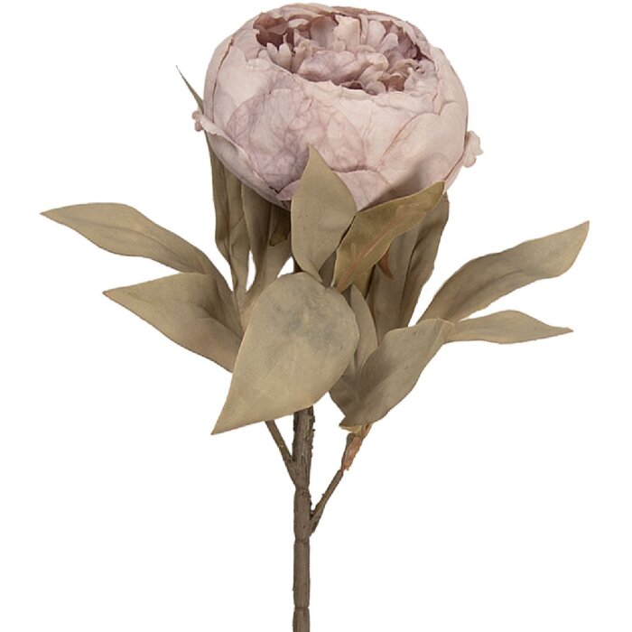 Fleur artificielle Clayre & Eef 11x11x62 cm violet-vert