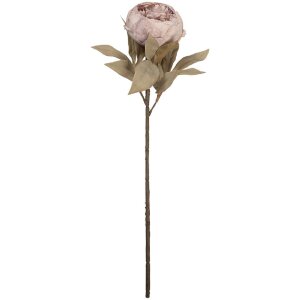 Fleur artificielle Clayre & Eef 11x11x62 cm violet-vert