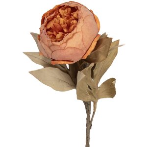 Fleur Artificielle Clayre & Eef Orange-Vert 11x11x62 cm